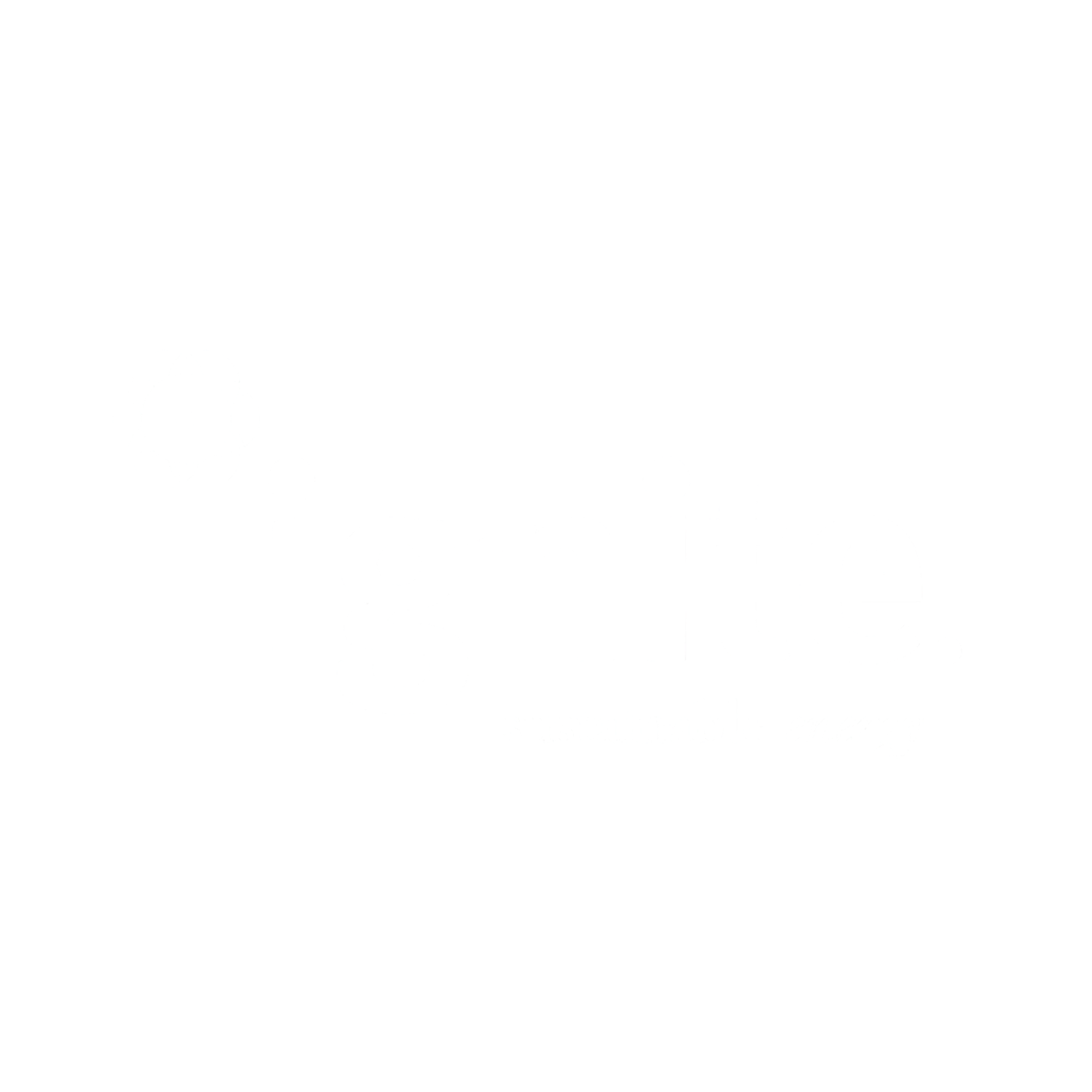 Ignite Sustainable Energy